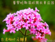 _(ti)~R޲