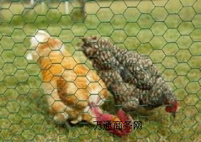 ɽB(yng)uW
