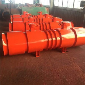 fbd6.3/2*22kw(du)L(fng)C(j)