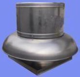 (yng)REF-5XxL(fng)C