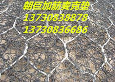 ·o(h)W(wng)ʯ\W(wng)Sҡʯ\W(wng)eW(wng)ʯ\W(wng)l(f)