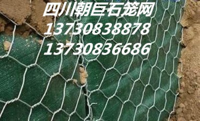 ʯ\W(wng)eW(wng)ߠʯ\W(wng)·o(h)W(wng)ӽˉ|l(f)