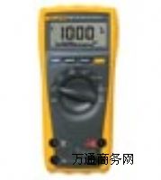 FLUKE175(sh)ֶñ