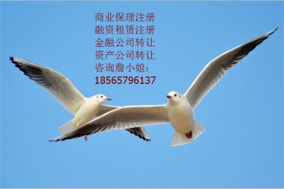 εγҪ܇YUYUʲô