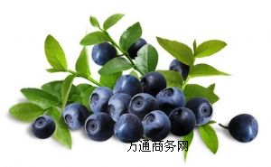 ԴF(xin)؛oӄɫأȻ{ݮ֭