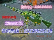 ΘڏS͙C(j)P(gun)ߚڃr