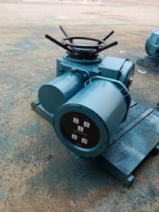 dzw30-24-a00-wk