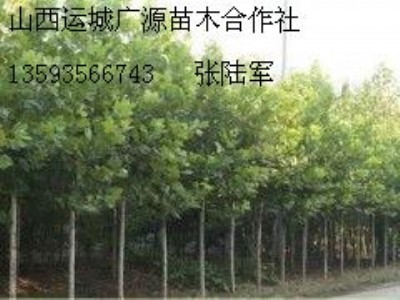 56ַͩ̓r(ji)
