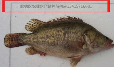 ~磬Z~~~~