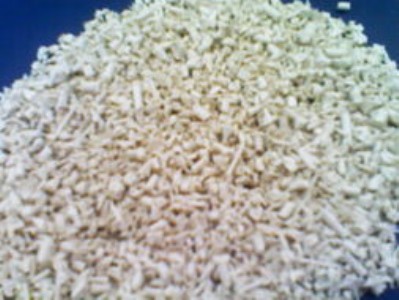 (yng)㽭ݷݷ
