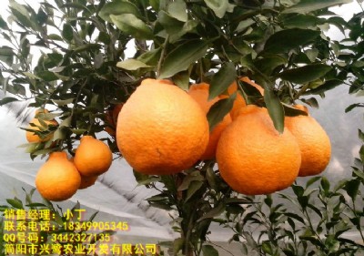 ɶҊ(jin)ɶҊ(jin)r(ji)ɶҊ(jin)l(f)