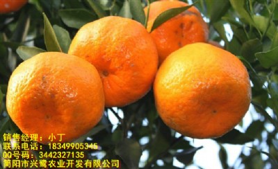 VԪҊl(f)VԪҊc(din)VԪҊ