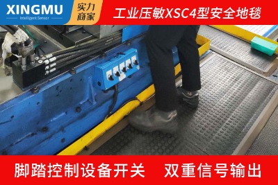 Ľxsc4ϵаȫ̺ȫ_(ki)P(gun)c(din)