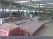 Q420qC/qD/qEһ