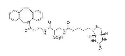 ws dbco-biotin1363444-70-5-h(hun)Ȳ-