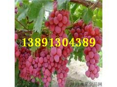 tѮa(chn)уrtѻ