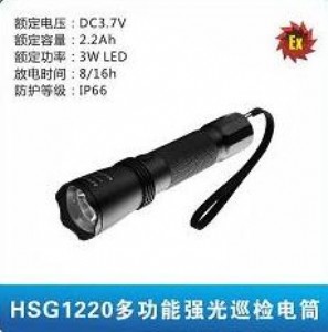 hsg1220๦܏ѲzͲ