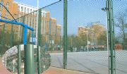 W(xu)@xřڣ\(yn)(dng)طo(h)W(wng)wW(wng)ʩb