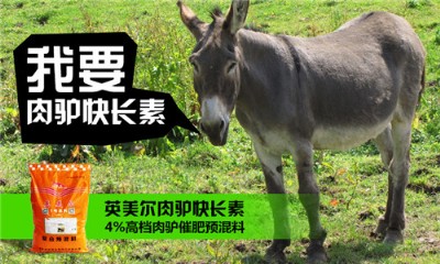 H䷽ HA(y)