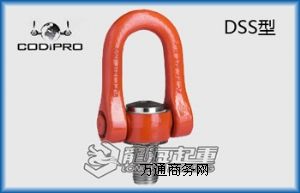 RɭCODIPRO DSSD(zhun)h(hun)Ҏ(gu) 