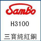 ϺǢl(f)(yng)H3100t~̓r(ji)l(f)