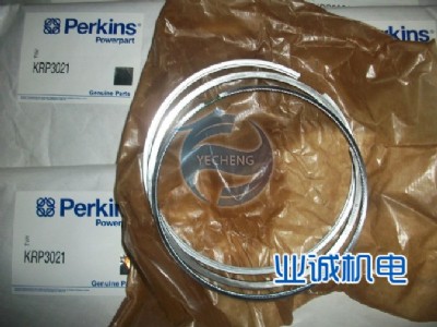 ˹perkinsl(f)әCSָĘI(y)\