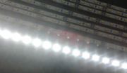 4MM3014lSֱN3014l