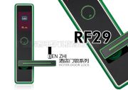 RF29Gɫi