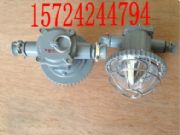 DGS18/127L18WA18WL