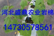 ˮʢ(yng)o(w)r޴l(f)