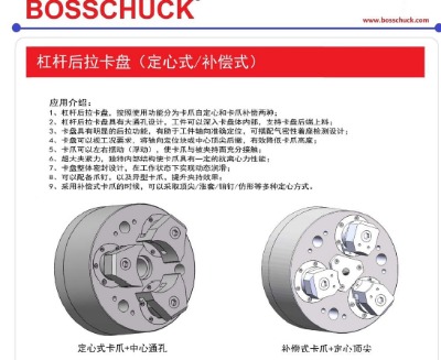 bosschuckܗUPַ֧ǘ(bio)֧־SޱB(yng)