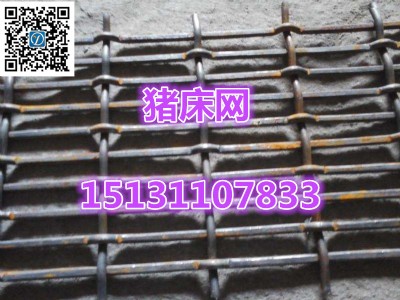 f12׵ů䓽zW(wng)S҈(bo)r(ji)-1010cmů䓽zW(wng)ȫ