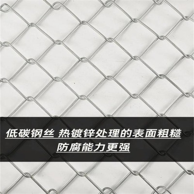ӱ\FzW(wng)Sຣ{\FzW(wng)oɽFzW(wng)
