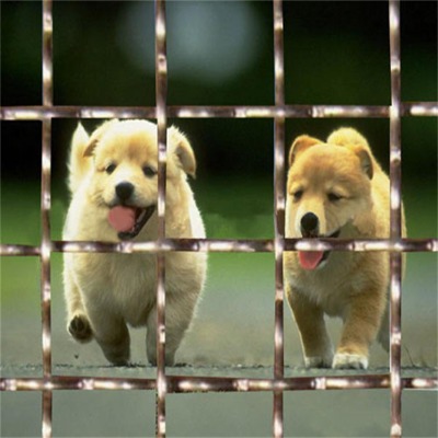 ӱ65i䓺YW(wng)Sҹ(yng)е45̖䓺YW(wng)65i䓺YW(wng)