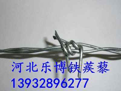 ɽ|дFzW(wng)2.5״50LSҬF(xin)؛(yng)
