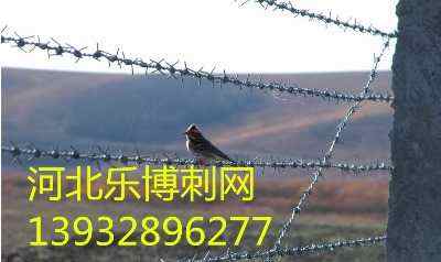 ɽ|̾(xin)Fz2.5״50L(zhng)S(chng)ҬF(xin)؛(yng)