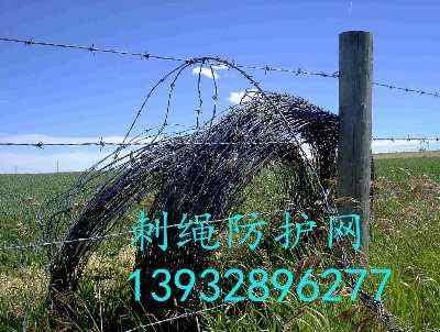 շIKcoW(wng)