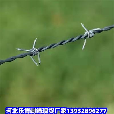 ֎FzW\䓽zWLȦɽF޼