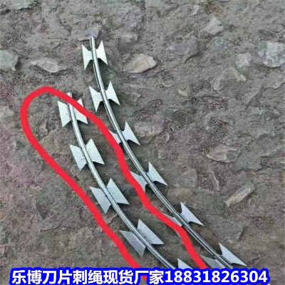 㽭\KS xL\FzW(wng) |(yng)L\ƬK