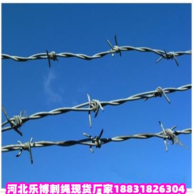 Ĵ\KS ʲ޼ dдFzW