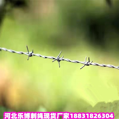 _\KS xFz 䓽zK