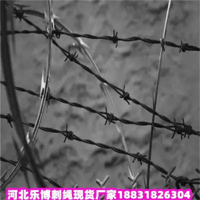 _(ti)\KS ̾W(wng)IW(wng) T޼