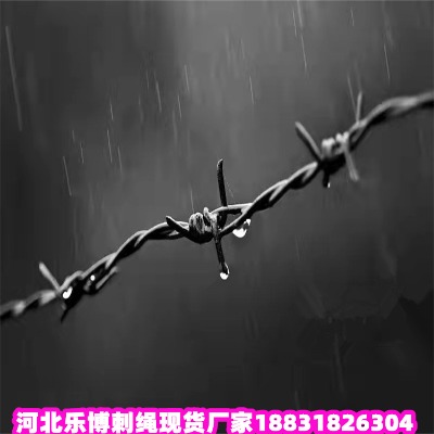 㽭\KS(chng) 2.8׵·B(yng)o(h)дFzW(wng)