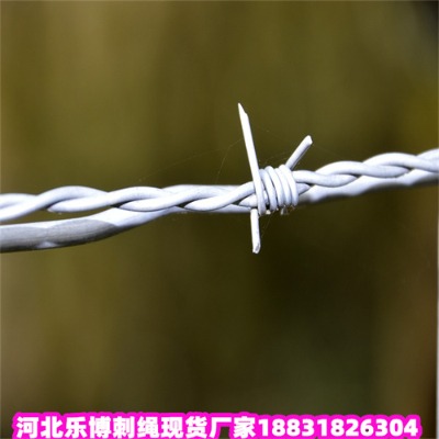 ɽ|\KS2.8ײP䓽zW(wng)(yng)