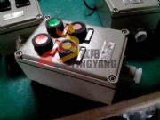 lczA(yng)