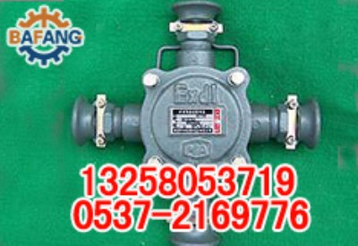 BHD2-100/2TVõ͉|Ӿ(xin)