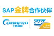 sap(sh)ʩ sapԃ(w)˾