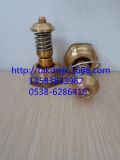 qx103232qx103233Ǹgdؿyо