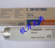 W˾d65l36w/965˜ʹԴ