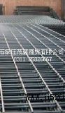 䓽ӾW(D)